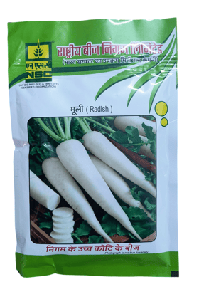NSC Radish Kashi Aadra