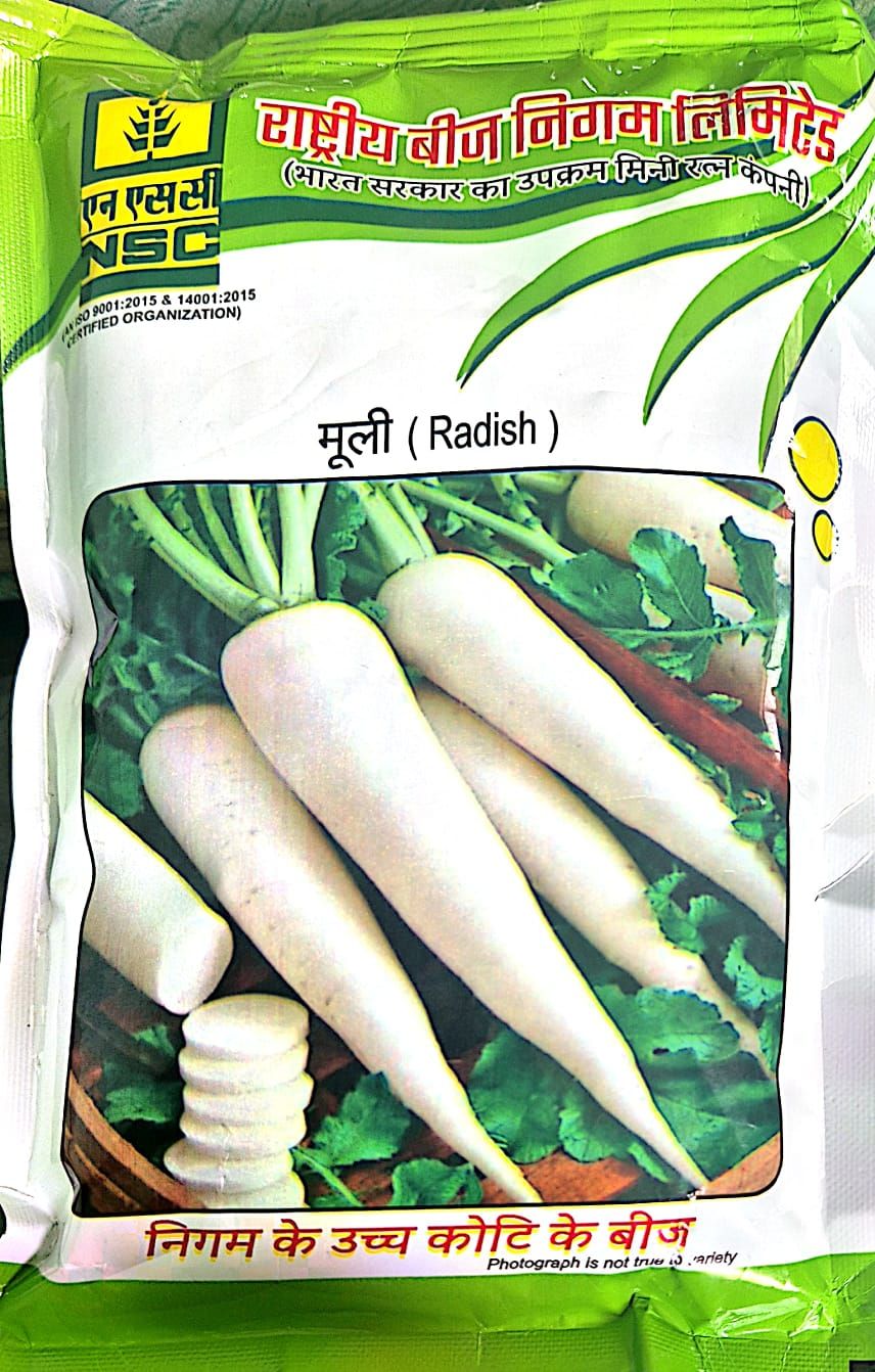 NSC Radish/ Var - Pusa Chetaki - 250 GM