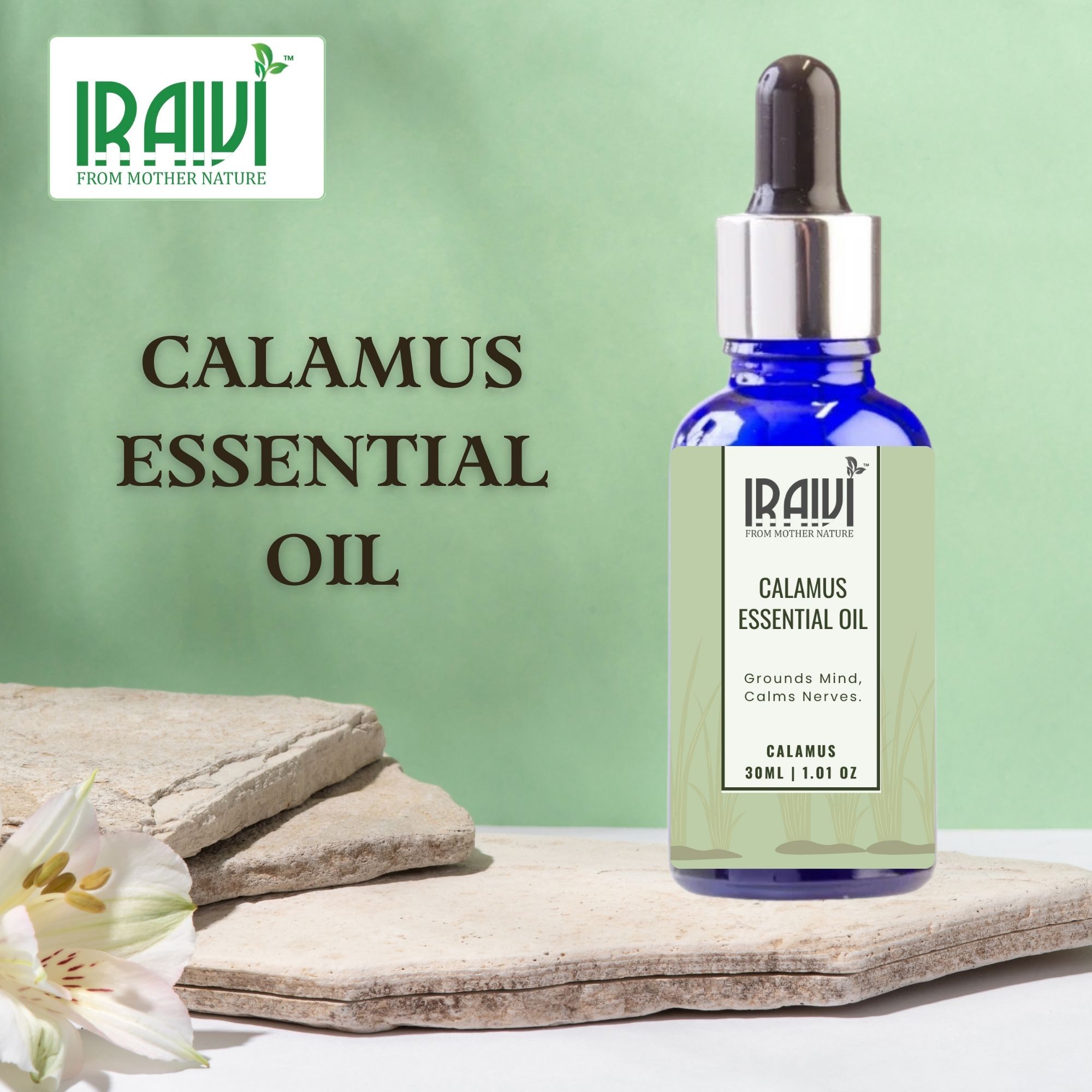 Iraivi Premium Calamus Essential Oil | Pure & Natural by Iraivi Organics