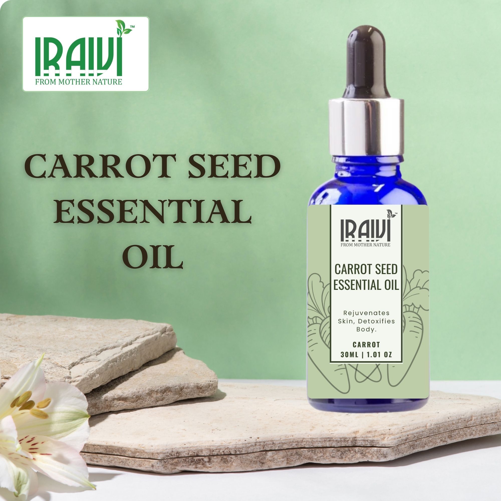 Iraivi Premium Carrot Seed Essential Oil | Pure & Natural by Iraivi Organics