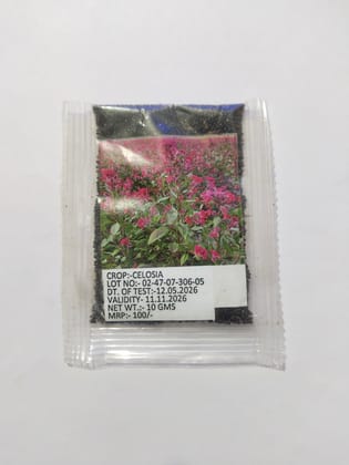 NSC Celocia Flower Seed, 10 gram T/L 