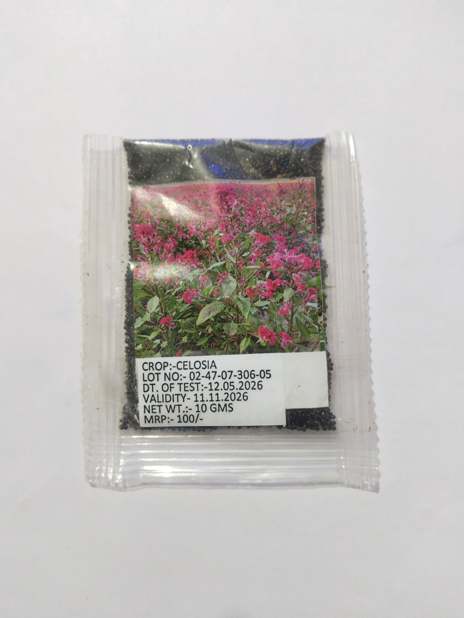 NSC Celocia Flower Seed, 10 gram T/L 