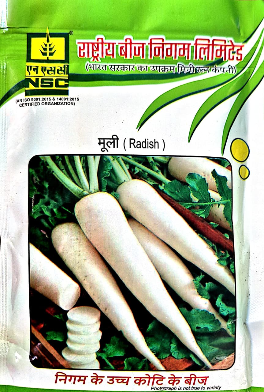 NSC Radish Kashi Aadra Variety, 100 Gram Truthfully Labelled Seed Pouch