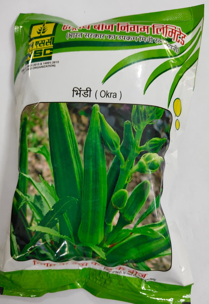 NSC BHINDI SEED PUSA-5 TL 250 GM