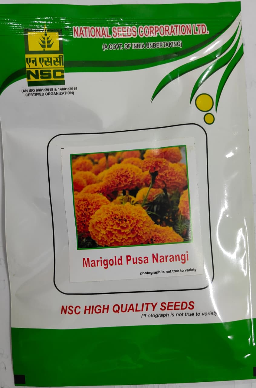NSC FLOWER MARIGOLD SEED PUSA NARANGI TL 10 GM