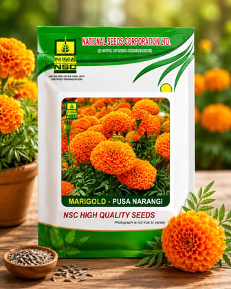 NSC Marigold Pusa Narangi