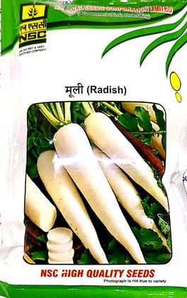NSC RADISH VARIETY KASHI  MOOLI-40 HIGH QUALITY T/L SEEDS 250 GM POUCH