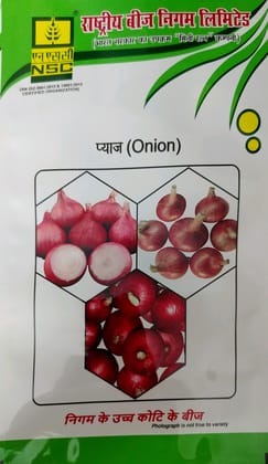 NSC Onion Bhima Dark Red , TL , 250 gms
