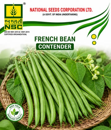 NSC French Bean, Contender Variety, 250 gram Truthfully Labelled Seed Pouch