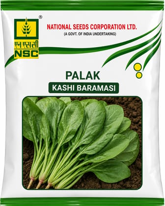 NSC Palak, Kashi Baramasi Variety, 250 Gram Truthfully Labelled Seed Pouch