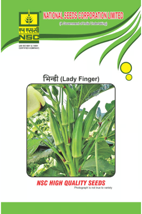 NSC Bhindi AA (Arka Anamika) High Quality Seeds, 50g