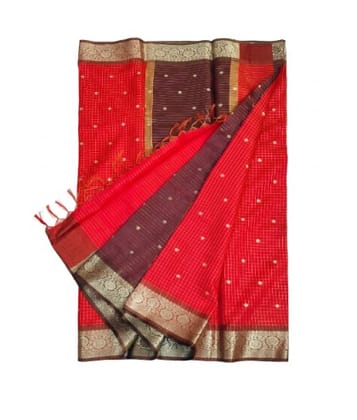 Banarasi Organza Check Saree with Contrast Pallu Banarasi Organza Check Saree with Contrast Pallu