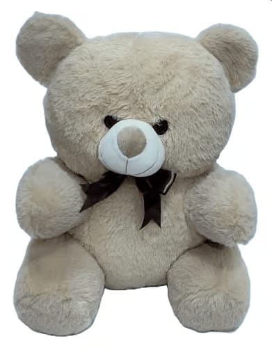 Teddy Bear For Kids