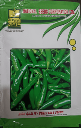 Chilli KA