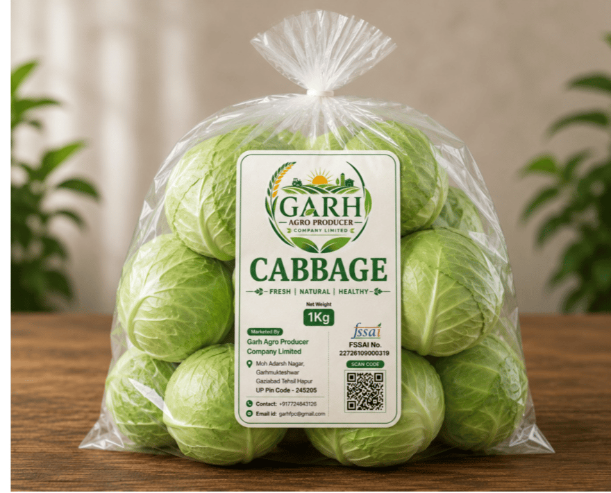 Cabbage 
