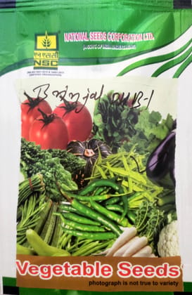 NSC Green Brinjal Pusa Hara Baingan-1 (PHB-1), 10 gram TL Seeds