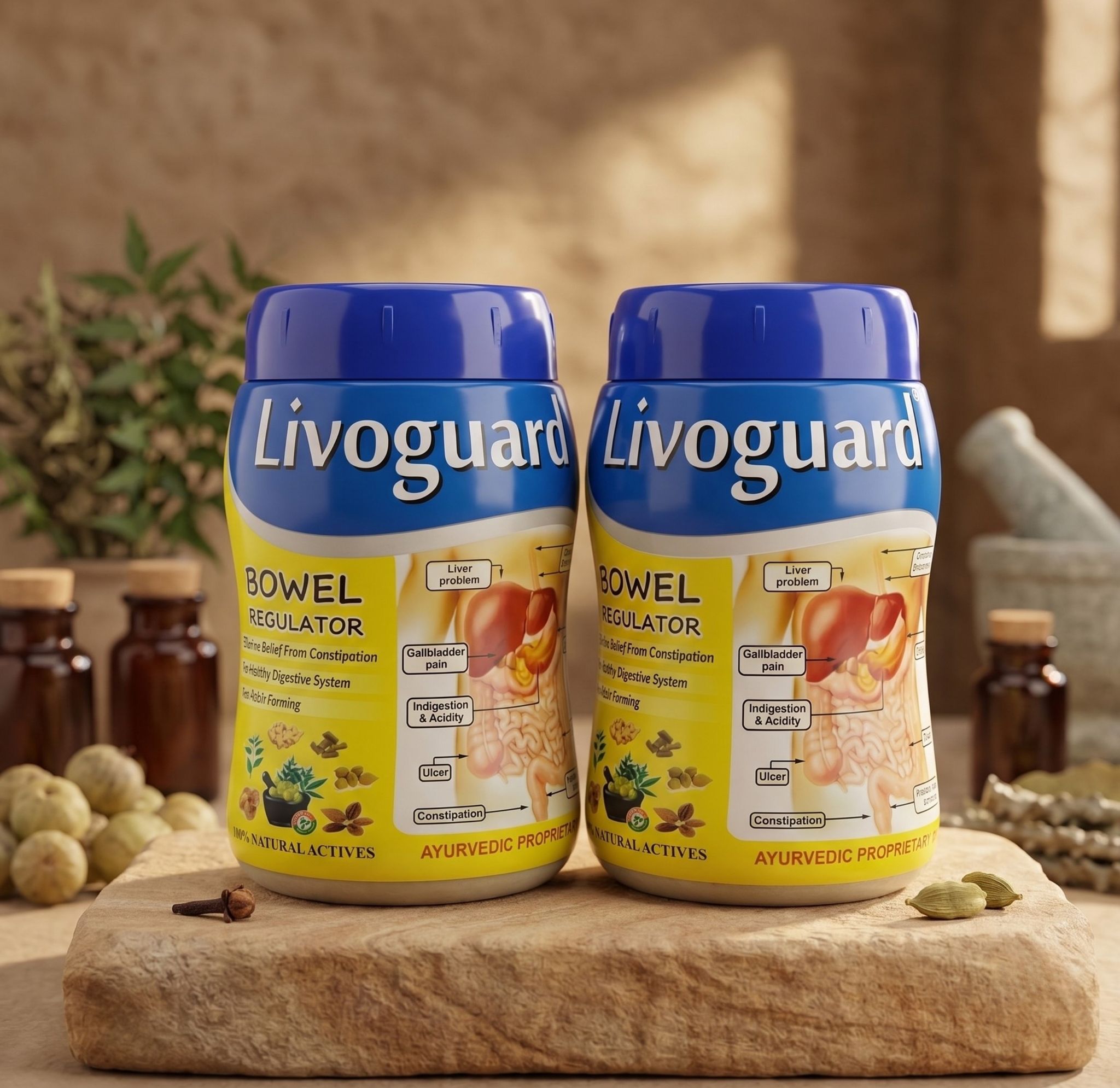 Livo Guard Liver Care  - Liver Support, Digestive Wellness, Herbal Formula -Pack of 2 (Value Bundle)