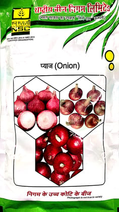 NSC Onion AFDR Seeds, 250g