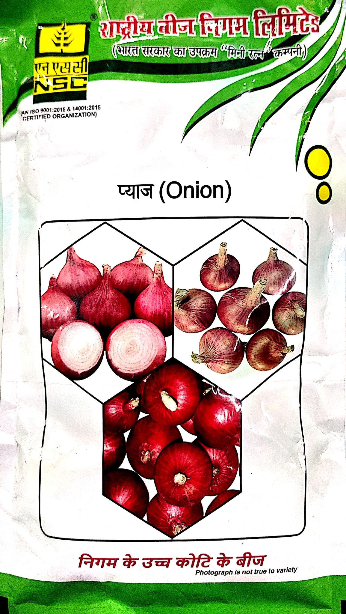 NSC Onion AFDR Seeds, 250g