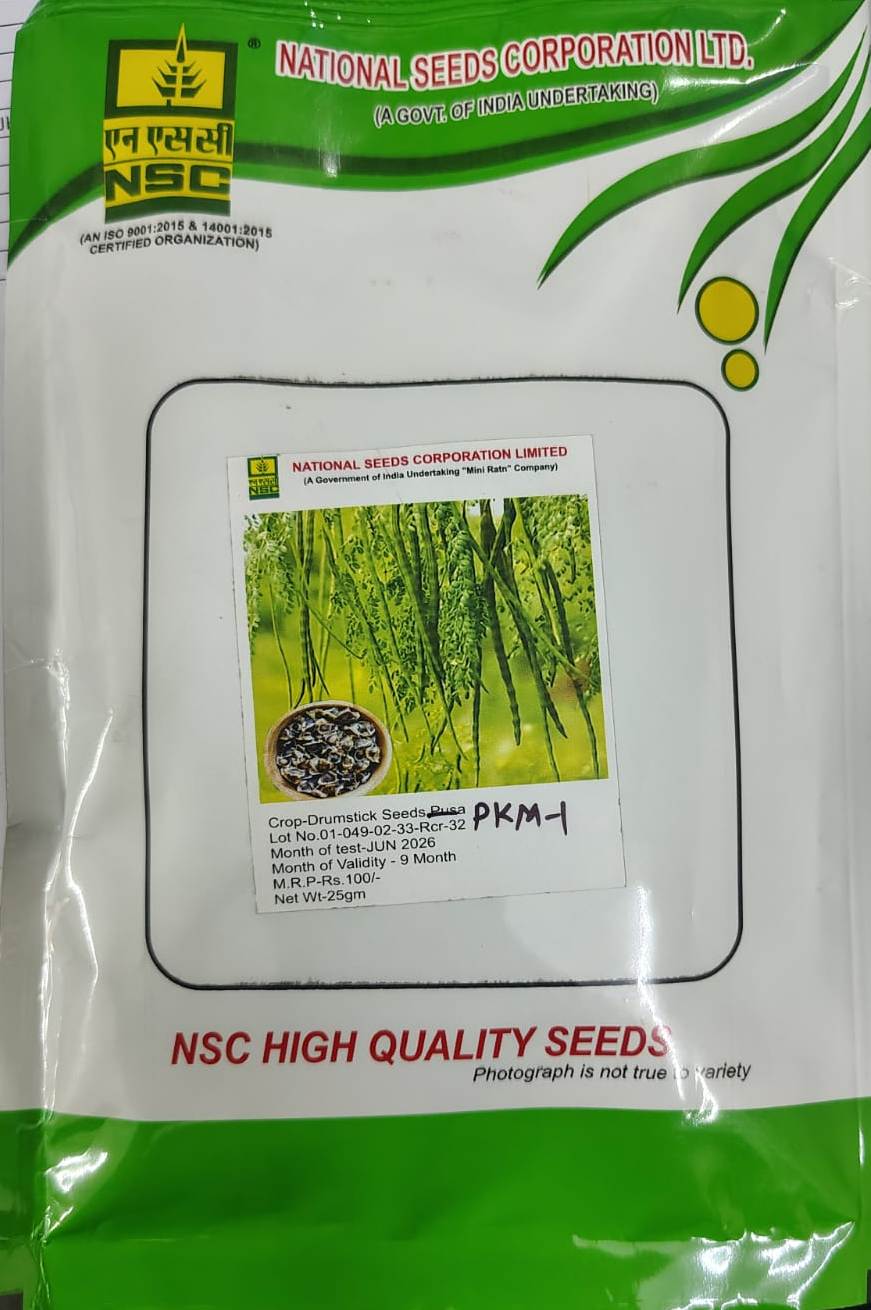 NSC Drumstick Seeds PKM-1 Variety (25g)