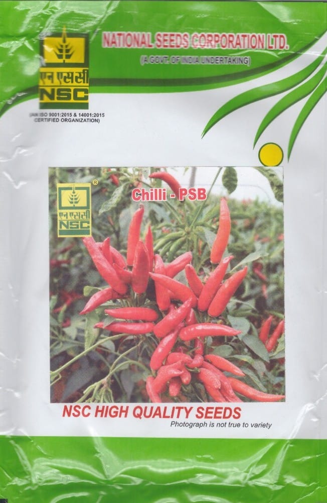 NSC- Chilli Variety -पूसा सदाबहार, 25g Seed