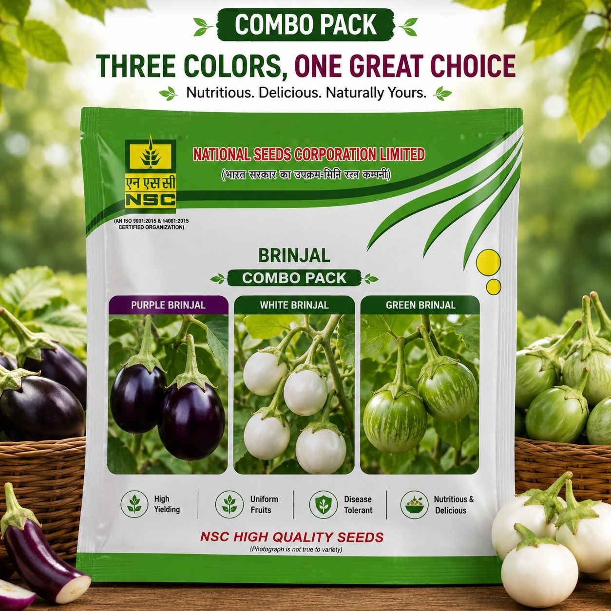 NSC Brinjal Seed Combo pack (Purple, White and Green Brinjal)