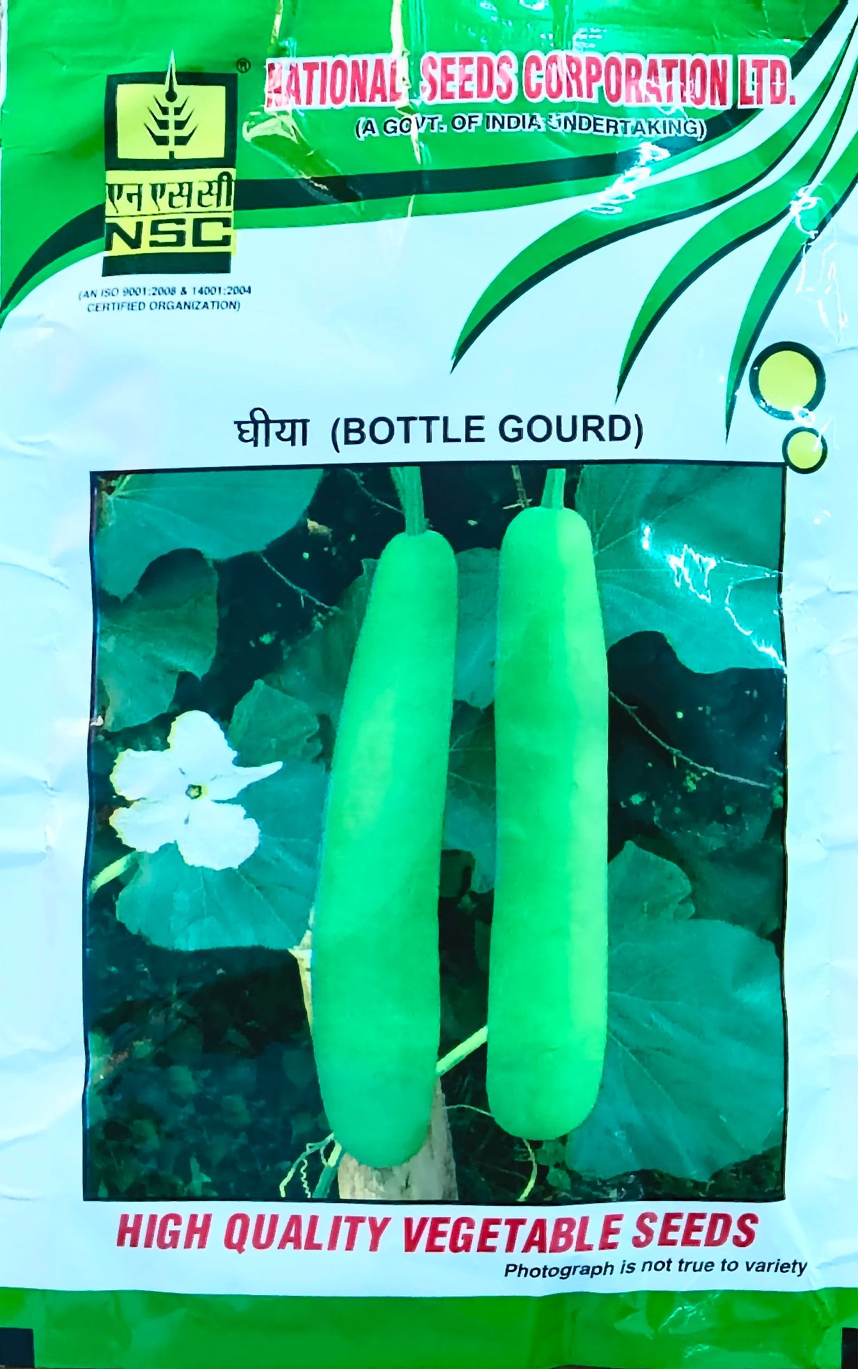 Bottle Gourd (Variety: PN)