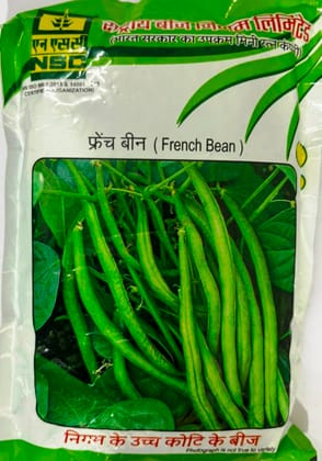 NSC French Bean Seeds (Variety A.K.) - 250g