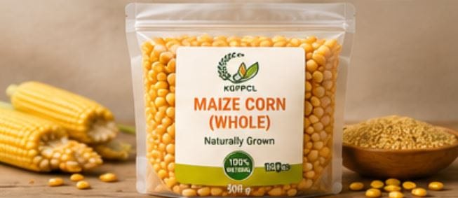 Maize Corn (Whole)