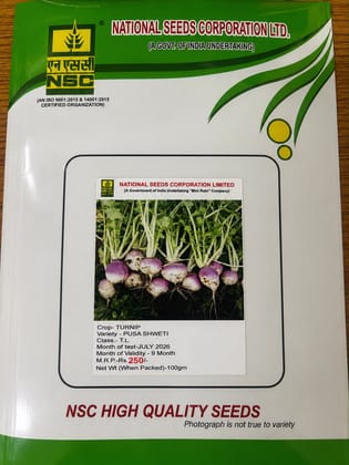 NSC Turnip Seed Pusa Sweti, 100 gm NSC Turnip Seed Pusa Sweti, 100 gm