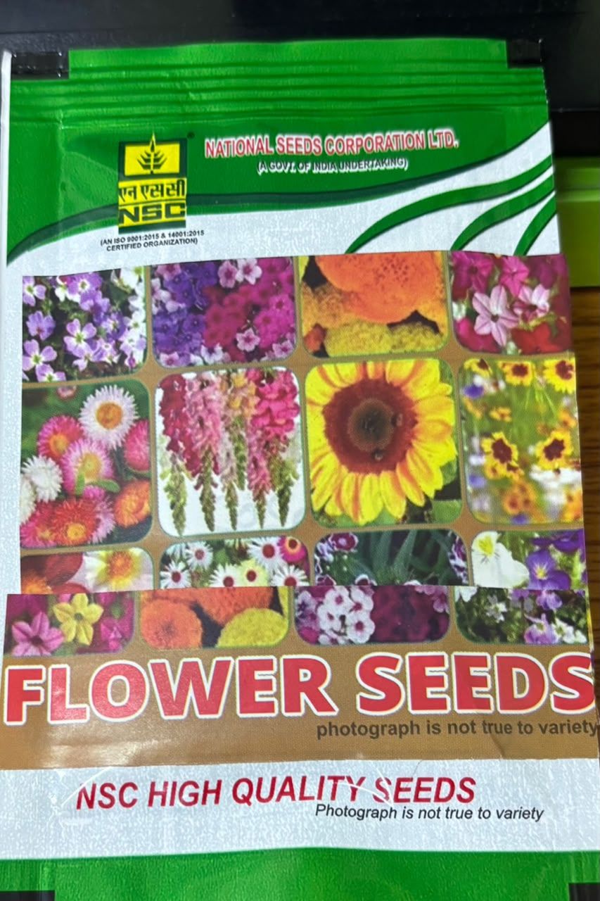 NSC Cosmos Brights Lights Mixed Flower seed, 5gm