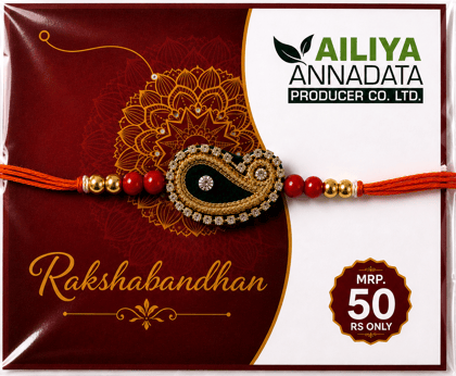 Zardosi Paisley Rakhi