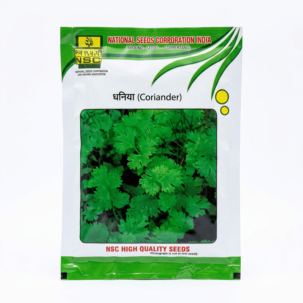 NSC High Quality Coriander ACR-1 Seeds, 100g
