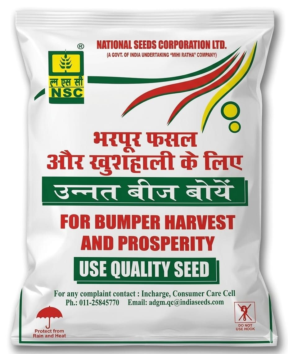 NSC SORGHUM SEED- CSV-41- 4KG