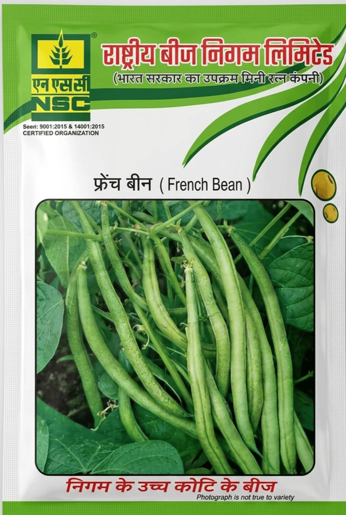 NSC Vegetable Seed- French Bean-Contender--250gms