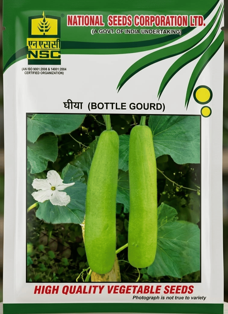 NSC Vegetable Seed- BOTTLE GOURD- PN-50 gms