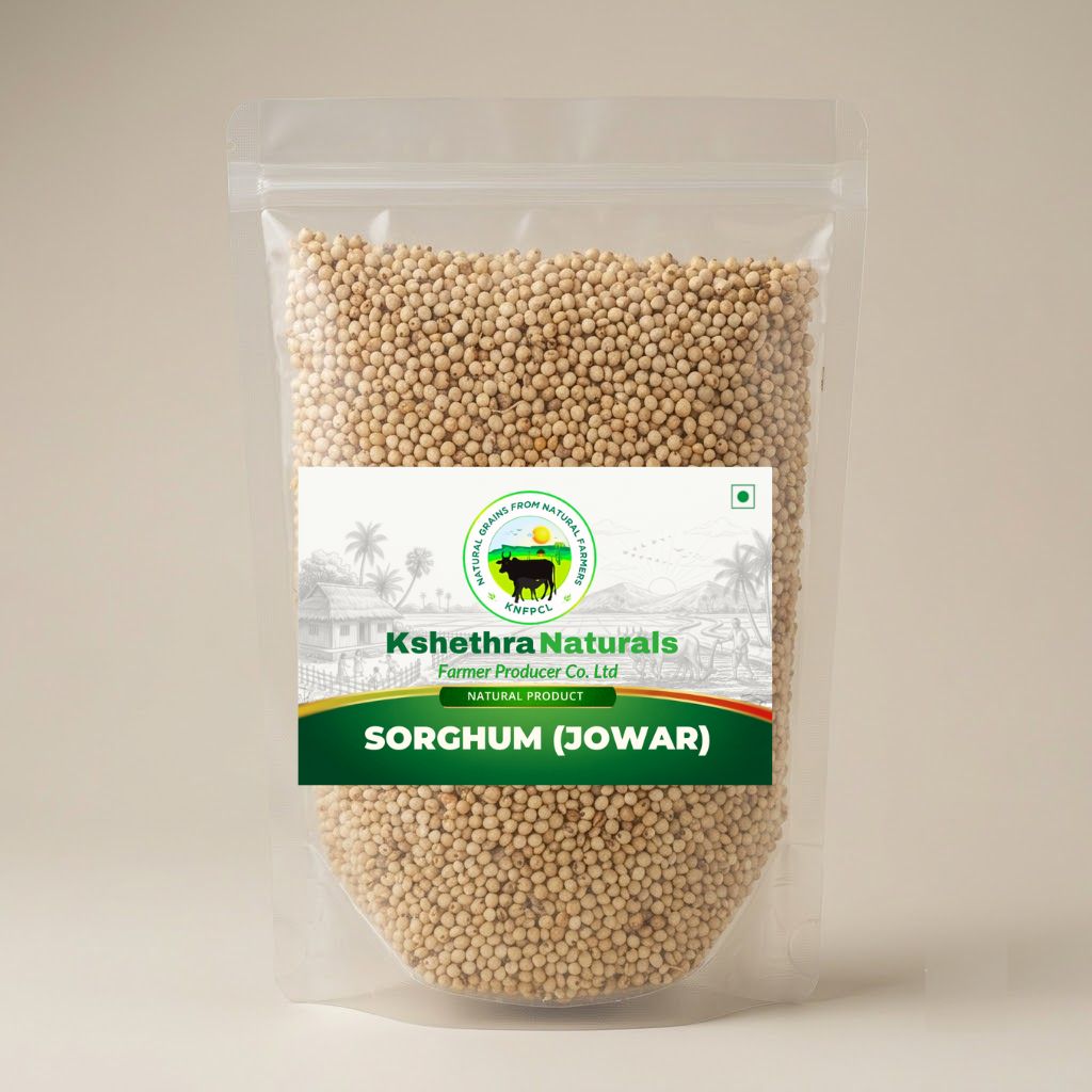 Sorghum (Jowar)- 500Grams