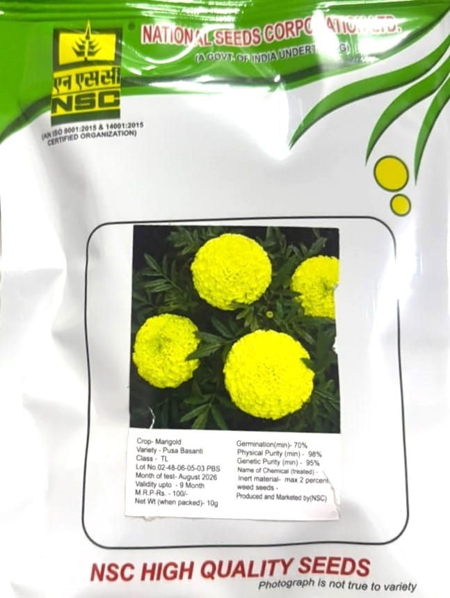 NSC Marigold Variety Pusa Basanti Flower TL Seed (10 Gm Seed)
