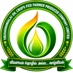 Tiruvannamalai Oil Crops Fed Farmers Producer Company Limited Tiruvannamalai Oil Crops Fed Farmers Producer Company Limited