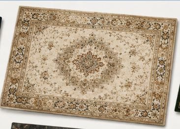 Traditional Distressed Oriental Medallion Area Rug - Beige