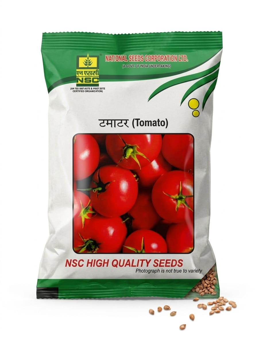 NSC Vegetable Seed TOMATO PUSA SHAKTI-10gms