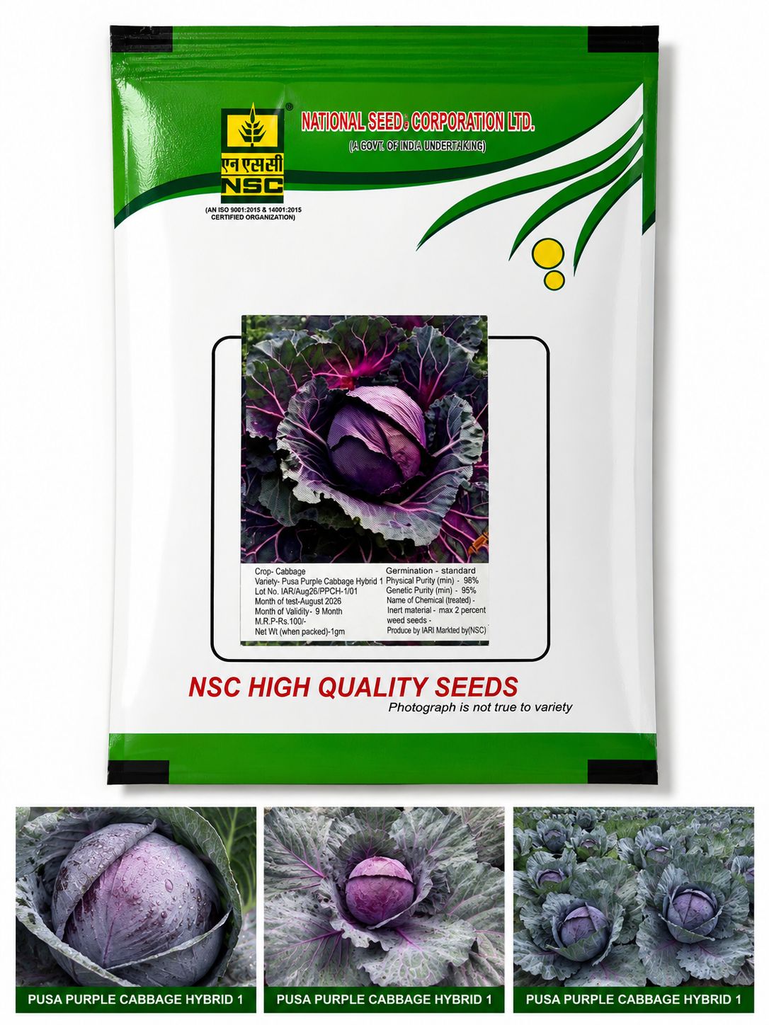 NSC Cabbage Pusa Purple Cabbage Hybrid-1 