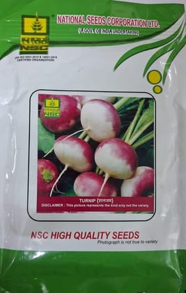 NSC TURNIP/PTWG 100 GM PACKING NSC TURNIP/PTWG 100 GM PACKING