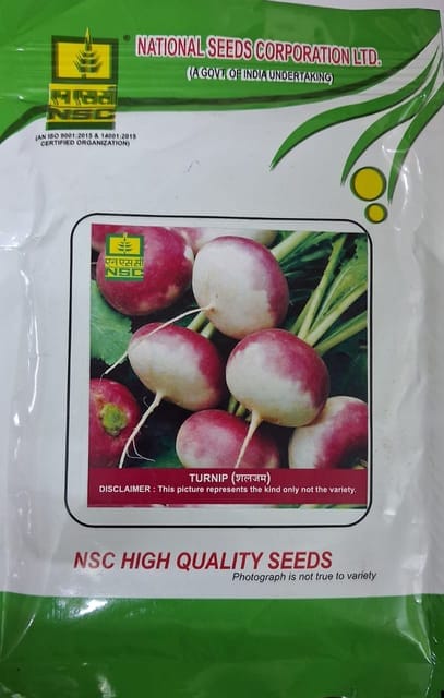 NSC TURNIP/PTWG 100 GM PACKING