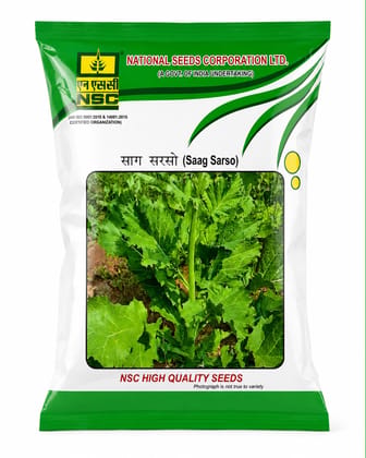 NSC Saag Sarson - Pusa Sag 1, 100gm