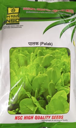NSC-Palak Variety All Green 50g  Seed