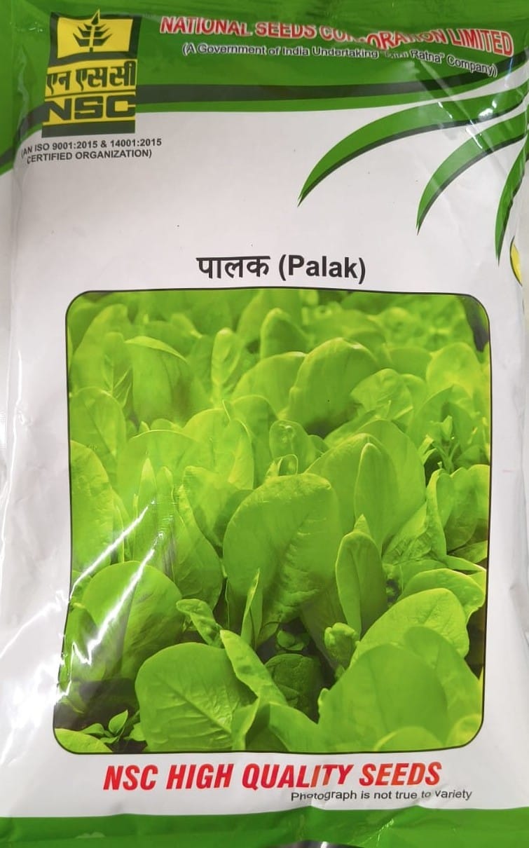NSC Palak  Variety - All Green ,500gm
