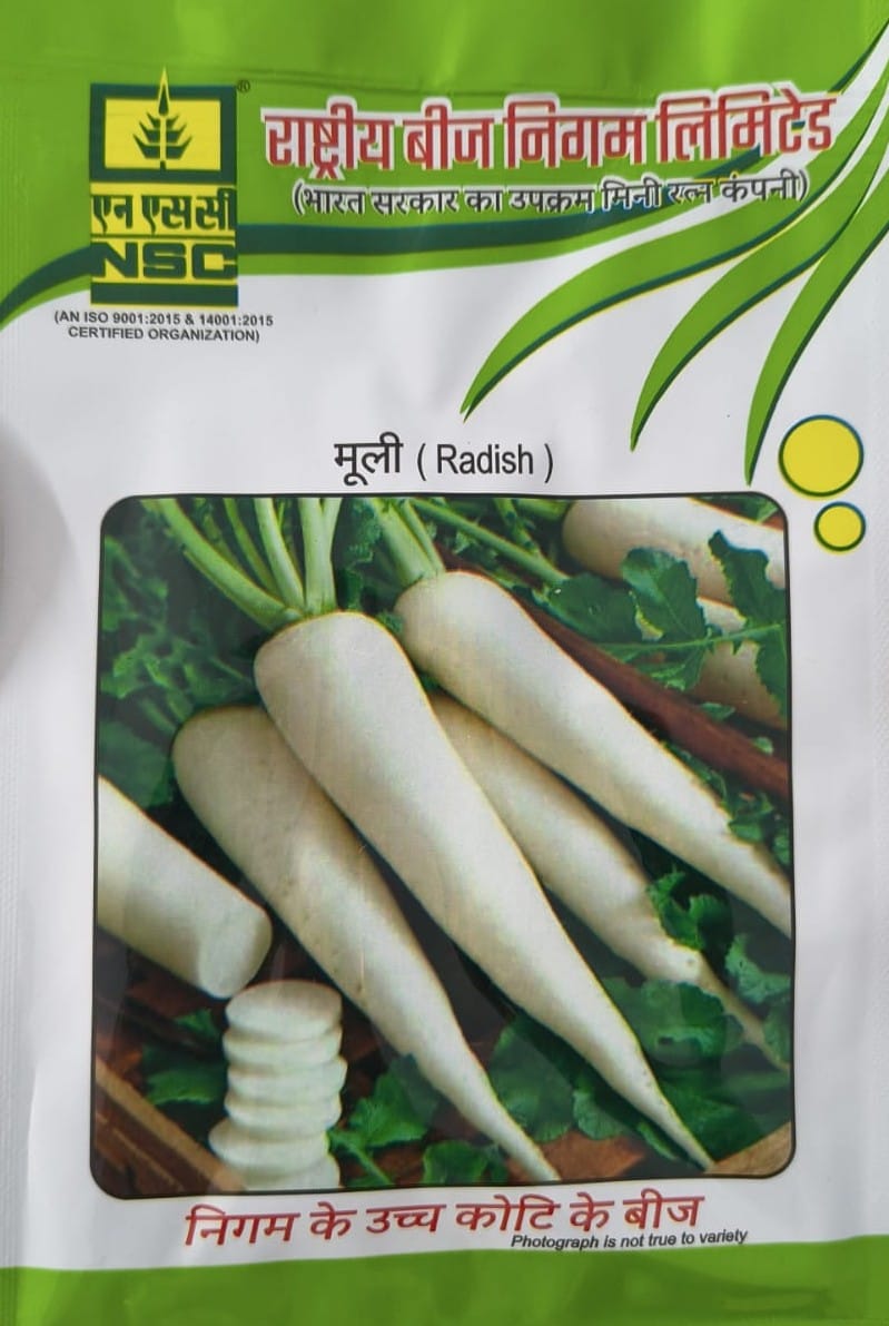 NSC Radish-Japanese White-50gram Seed