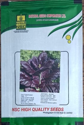 NSC PURPLE MUSTARD TL SEED (10Gm Seed)