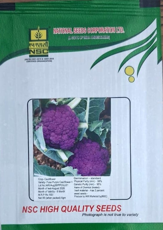 NSC Cauliflower Variety- Pusa Purple Cauliflower-1 TL  Seed (5 Gm Seed)